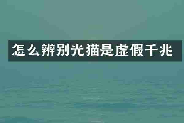 怎么辨别光猫是虚假千兆