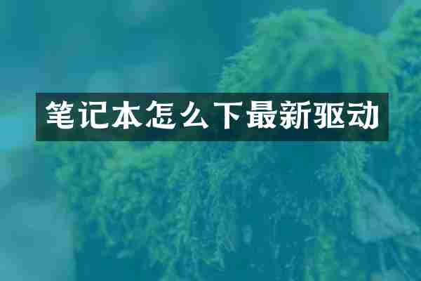 笔记本怎么下最新驱动