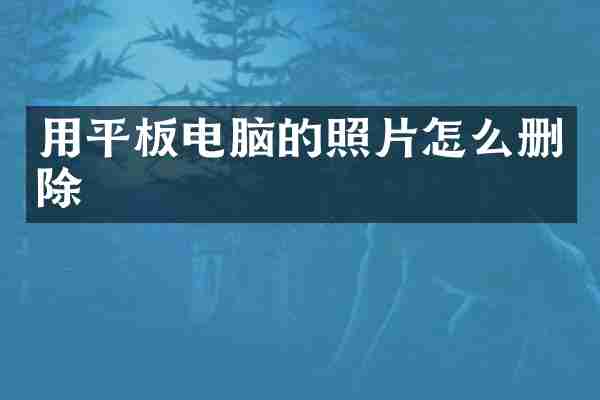 用平板电脑的照片怎么删除