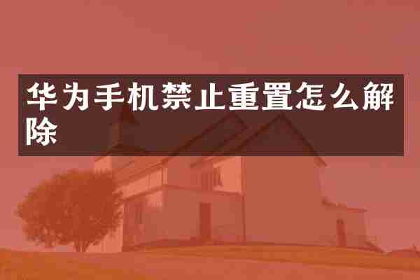 华为手机禁止重置怎么解除