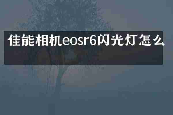 佳能相机eosr6闪光灯怎么开