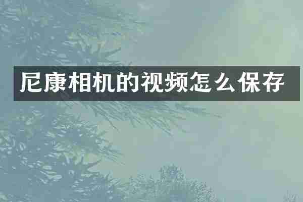 尼康相机的视频怎么保存