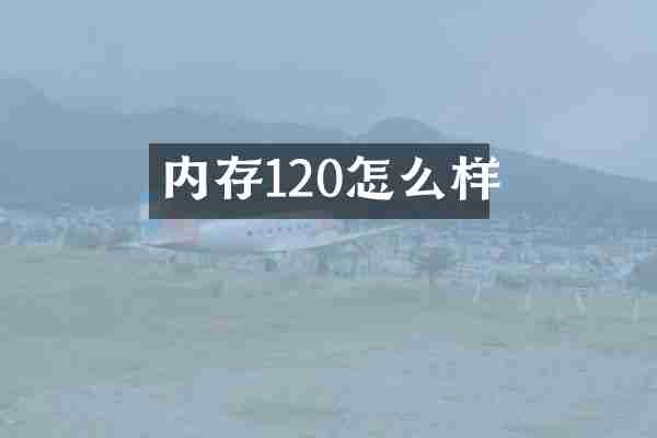 内存120怎么样