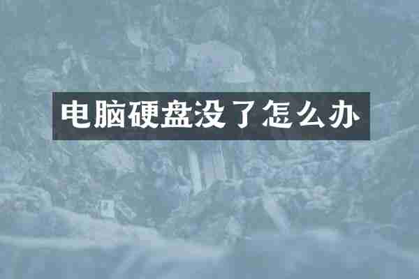 电脑硬盘没了怎么办