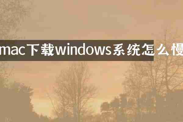 mac下载windows系统怎么慢