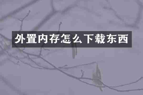 外置内存怎么下载东西