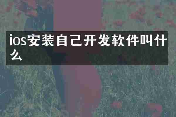 ios安装自己开发软件叫什么