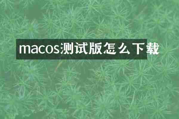 macos测试版怎么下载