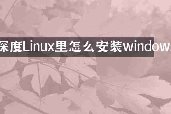 深度Linux里怎么安装windows