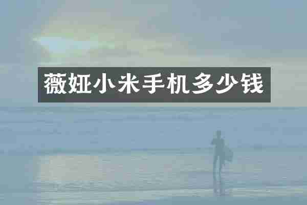 薇娅小米手机多少钱