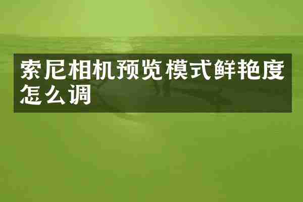索尼相机预览模式鲜艳度怎么调