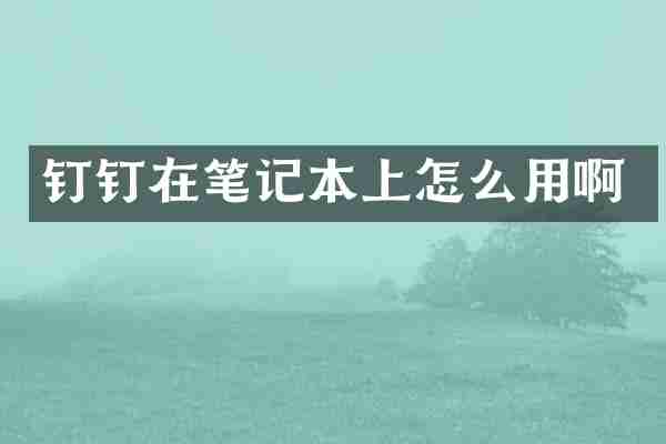 钉钉在笔记本上怎么用啊