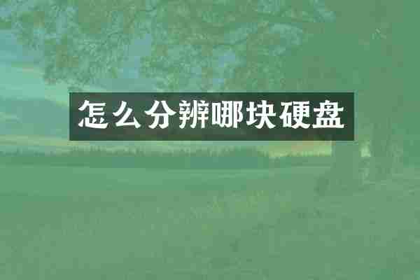 怎么分辨哪块硬盘