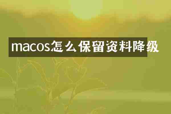 macos怎么保留资料降级