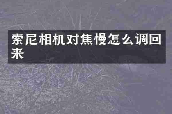 索尼相机对焦慢怎么调回来