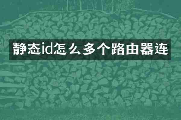 静态id怎么多个路由器连