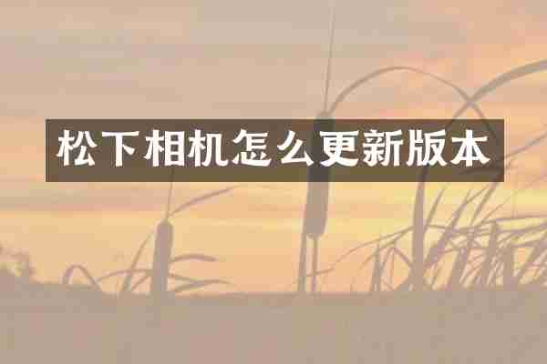 松下相机怎么更新版本