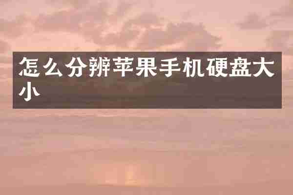 怎么分辨苹果手机硬盘大小