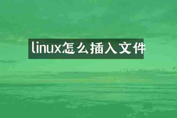 linux怎么插入文件