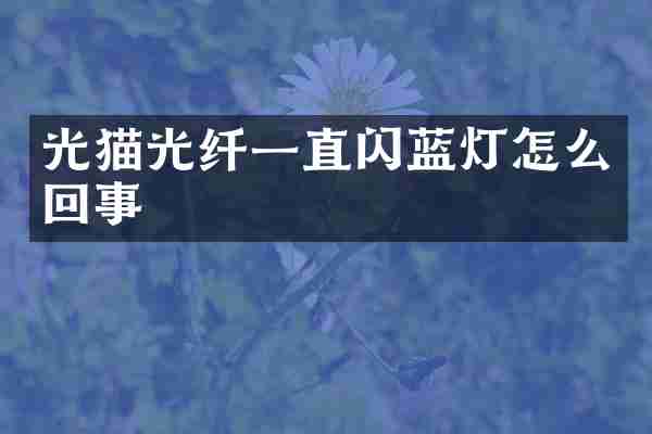 光猫光纤一直闪蓝灯怎么回事