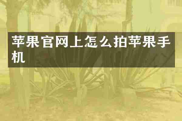 苹果官网上怎么拍苹果手机