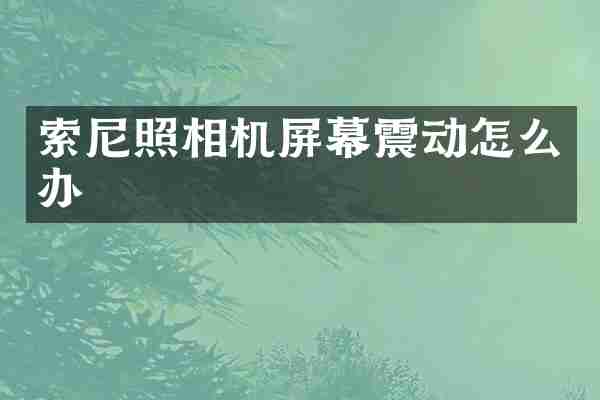 索尼照相机屏幕震动怎么办