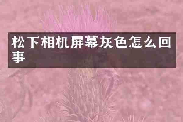 松下相机屏幕灰色怎么回事