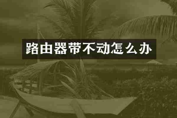 路由器带不动怎么办