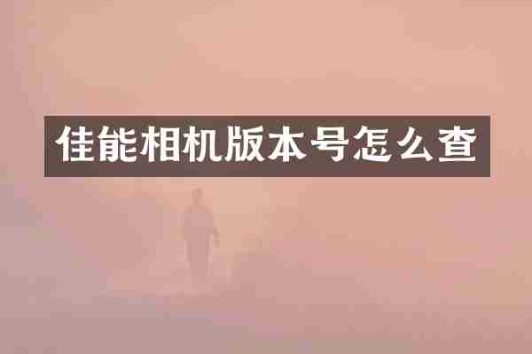 佳能相机版本号怎么查