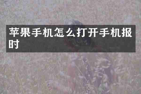 苹果手机怎么打开手机报时