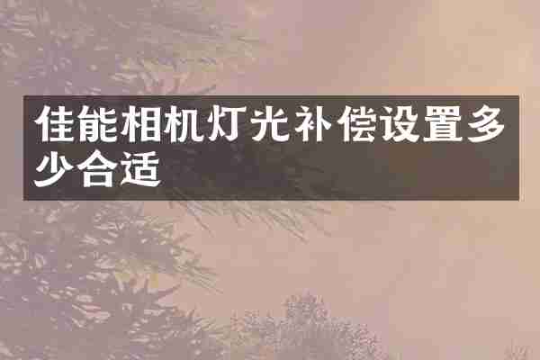 佳能相机灯光补偿设置多少合适