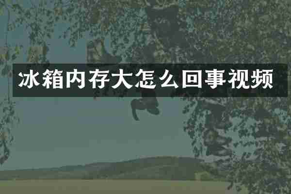 冰箱内存大怎么回事视频
