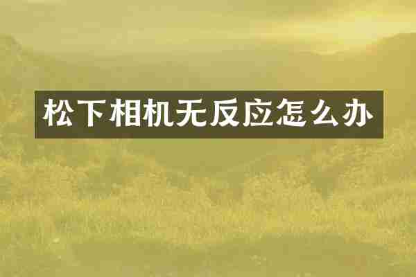 松下相机无反应怎么办