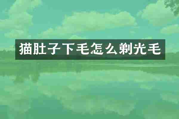 猫肚子下毛怎么剃光毛