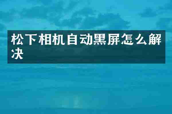 松下相机自动黑屏怎么解决