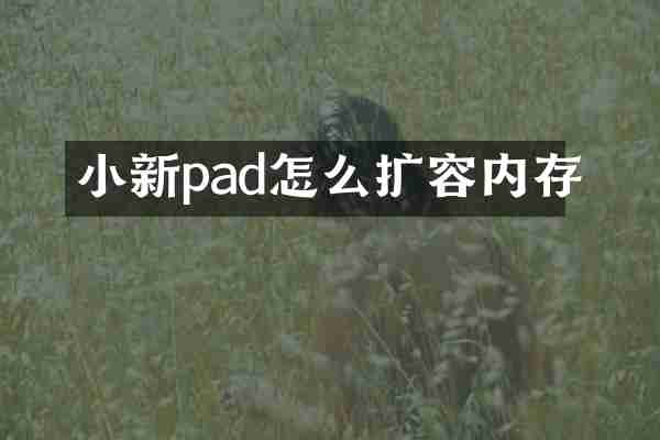 小新pad怎么扩容内存