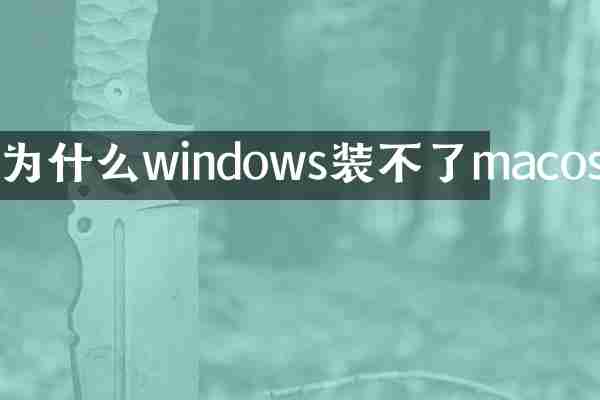 为什么windows装不了macos