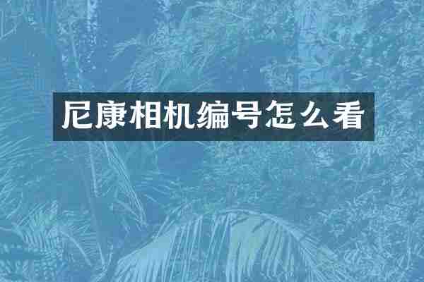 尼康相机编号怎么看