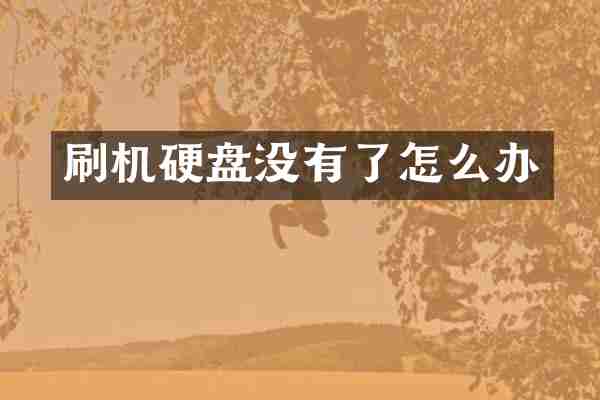 刷机硬盘没有了怎么办