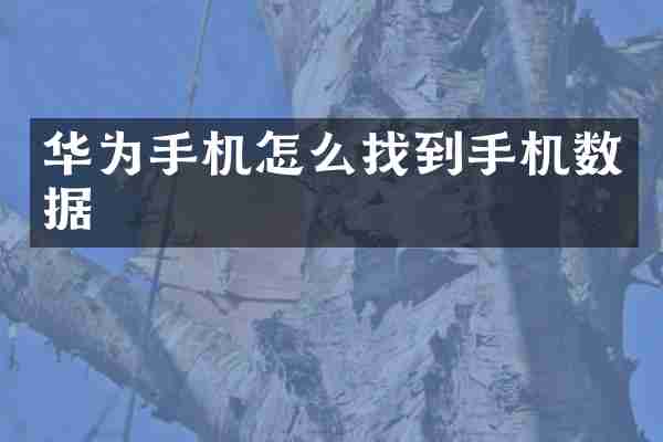 华为手机怎么找到手机数据