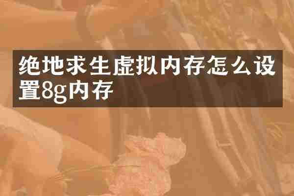 绝地求生虚拟内存怎么设置8g内存