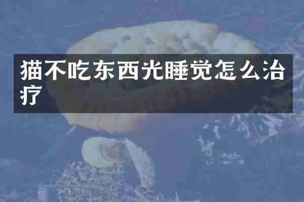 猫不吃东西光睡觉怎么治疗