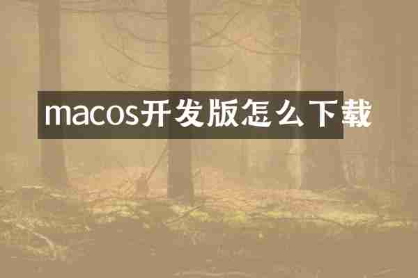 macos开发版怎么下载