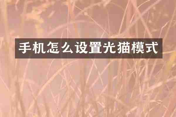 手机怎么设置光猫模式