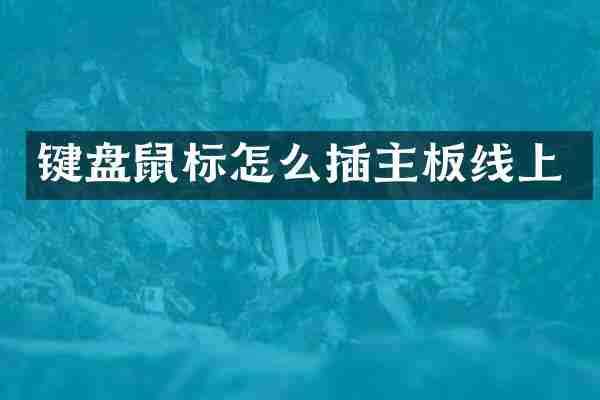键盘鼠标怎么插主板线上