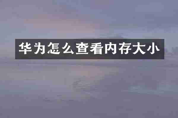 华为怎么查看内存大小