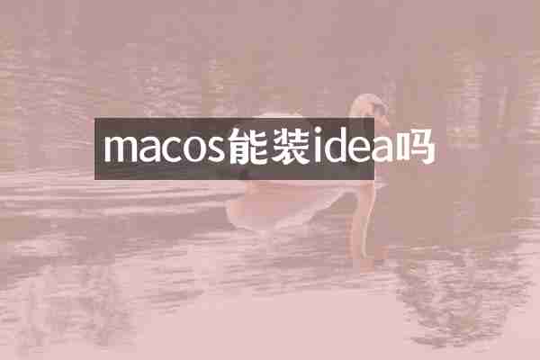 macos能装idea吗