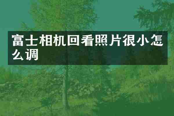 富士相机回看照片很小怎么调