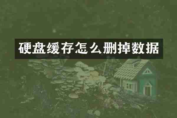硬盘缓存怎么删掉数据