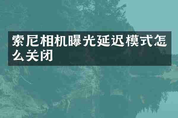 索尼相机曝光延迟模式怎么关闭